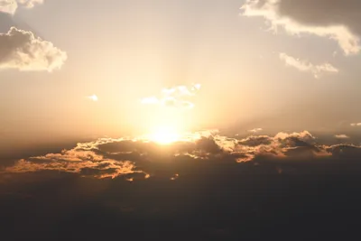 DSC_3701 (Large).JPG